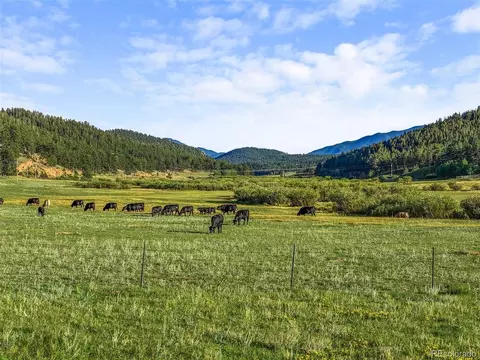 Other - 3763 County Road 43, Bailey, CO 80421 photo 3 of 18