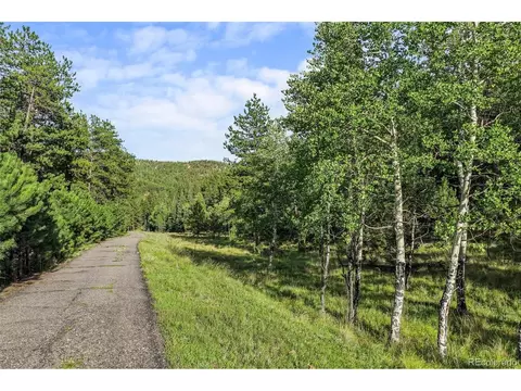 Other - 3763 County Road 43, Bailey, CO 80421 photo 17 of 18
