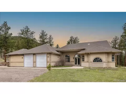 Exterior - 3763 County Road 43, Bailey, CO 80421 photo 3 of 4