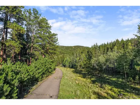 Other - 3763 County Road 43, Bailey, CO 80421 photo 6 of 18