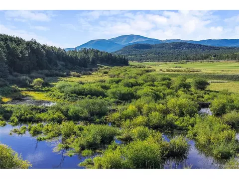 View/Area - 3763 County Road 43, Bailey, CO 80421 photo 2 of 11