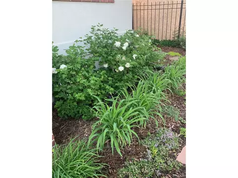 4225 E 7th Ave, Denver, CO 80220 photo 31