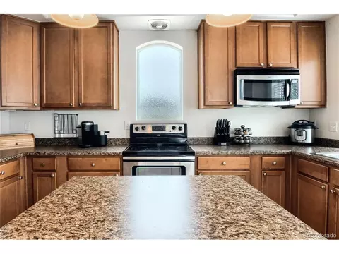 4798 Biscay St, Denver, CO 80249 photo 11