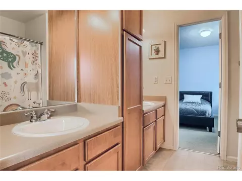 4798 Biscay St, Denver, CO 80249 photo 30