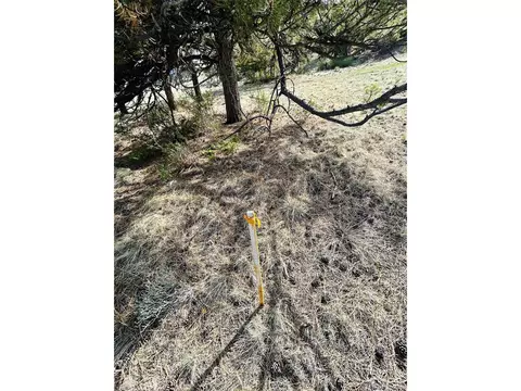 4641 Ranch Rd, Hartsel, CO 80449 photo 18