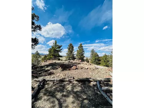 4641 Ranch Rd, Hartsel, CO 80449 photo 22