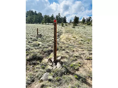 4641 Ranch Rd, Hartsel, CO 80449 photo 11