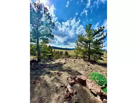 4641 Ranch Rd, Hartsel, CO 80449 photo 23