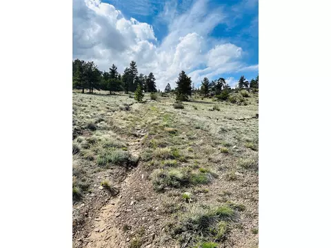 4641 Ranch Rd, Hartsel, CO 80449 photo 14