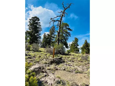 4641 Ranch Rd, Hartsel, CO 80449 photo 6