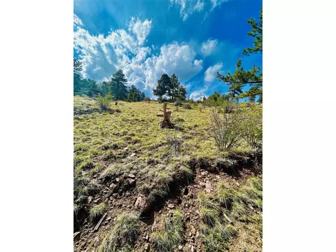 4641 Ranch Rd, Hartsel, CO 80449 photo 5