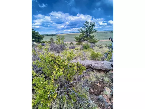 4641 Ranch Rd, Hartsel, CO 80449 photo 10