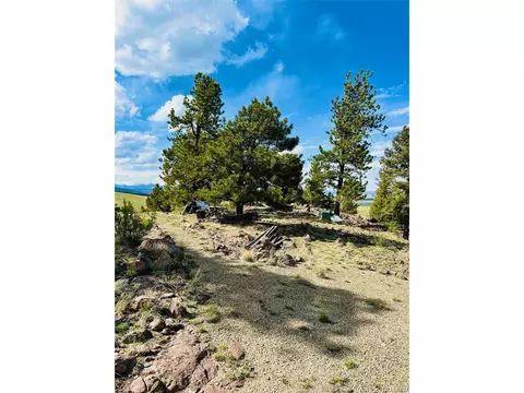4641 Ranch Rd, Hartsel, CO 80449 photo 21