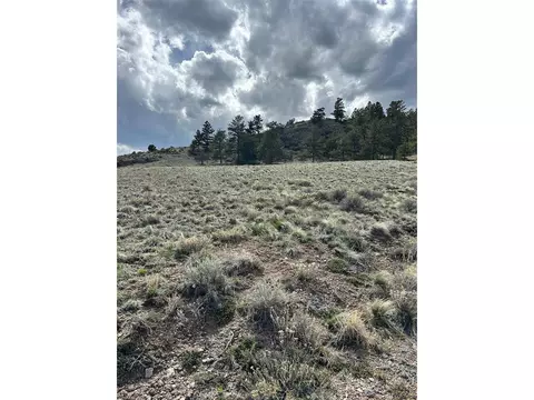 4641 Ranch Rd, Hartsel, CO 80449 photo 15