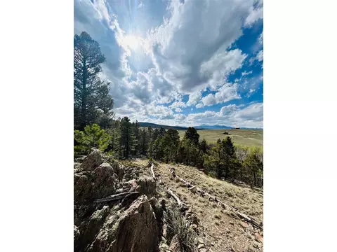 4641 Ranch Rd, Hartsel, CO 80449 photo 26