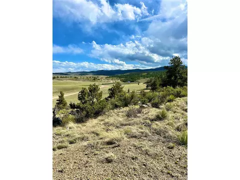 4641 Ranch Rd, Hartsel, CO 80449 photo 9