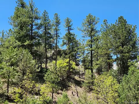 102 Kevin Dr, Cotopaxi, CO 81223