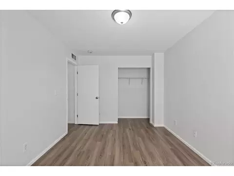 19817 E 47th Pl, Denver, CO 80249 photo 35