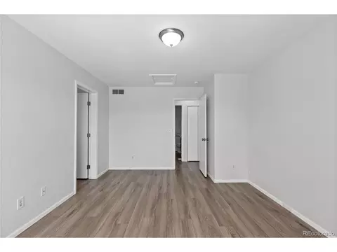 19817 E 47th Pl, Denver, CO 80249 photo 29