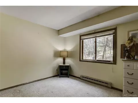 26892 Main St, Conifer, CO 80433 photo 19