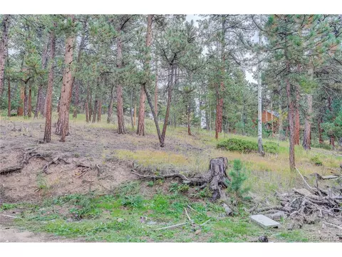 26892 Main St, Conifer, CO 80433 photo 27