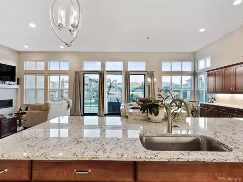 9598 Fork Bluff Pt, Lone Tree, CO 80124 photo 6