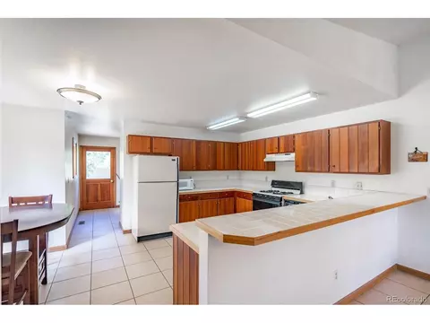 33 Bluebird Dr, Bailey, CO 80421 photo 11