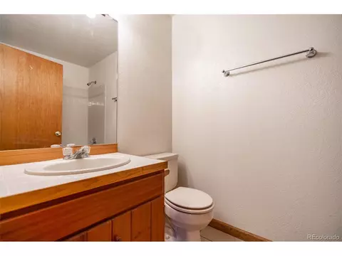 33 Bluebird Dr, Bailey, CO 80421 photo 18