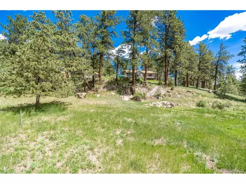 33 Bluebird Dr, Bailey, CO 80421 photo 6