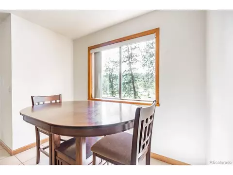 33 Bluebird Dr, Bailey, CO 80421 photo 12