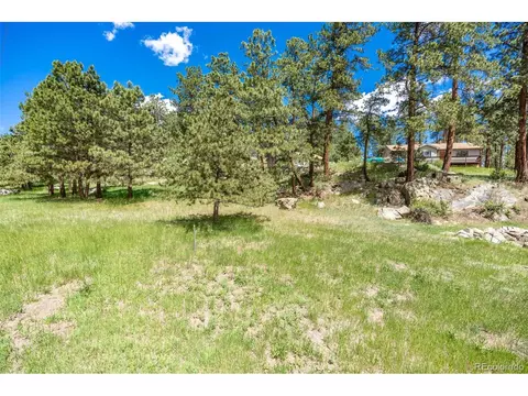33 Bluebird Dr, Bailey, CO 80421 photo 37