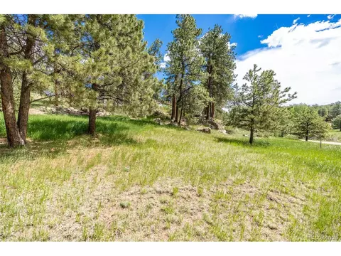 33 Bluebird Dr, Bailey, CO 80421 photo 30
