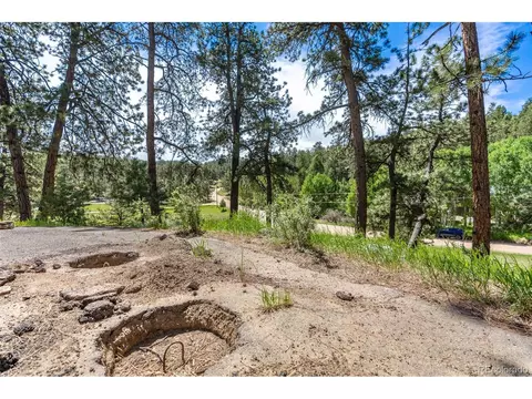 33 Bluebird Dr, Bailey, CO 80421 photo 32