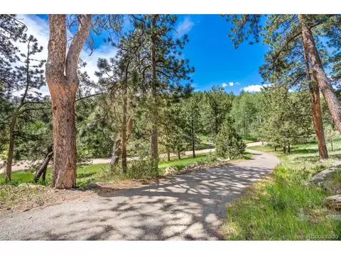 33 Bluebird Dr, Bailey, CO 80421 photo 2