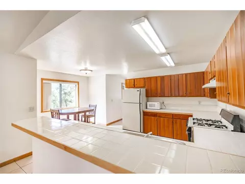 33 Bluebird Dr, Bailey, CO 80421 photo 10
