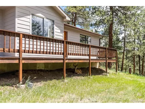 33 Bluebird Dr, Bailey, CO 80421 photo 27