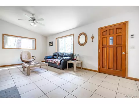 33 Bluebird Dr, Bailey, CO 80421 photo 8