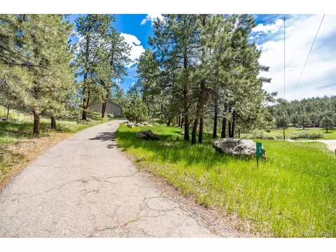 33 Bluebird Dr, Bailey, CO 80421 photo 38