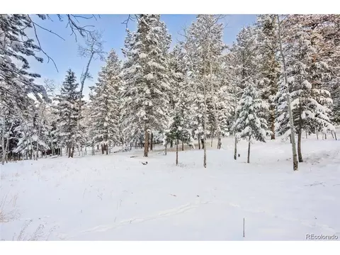 252 Beaver Trl, Bailey, CO 80421 photo 8