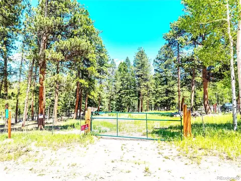 252 Beaver Trl, Bailey, CO 80421