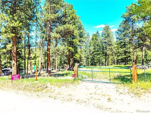252 Beaver Trl, Bailey, CO 80421 photo 2