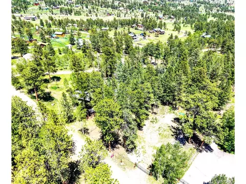 252 Beaver Trl, Bailey, CO 80421