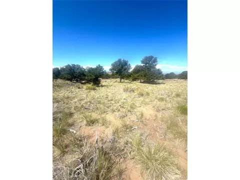 4469 Greenview Ct, Crestone, CO 81131