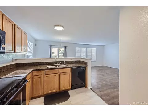 4512 Cornish Way, Denver, CO 80239 photo 12