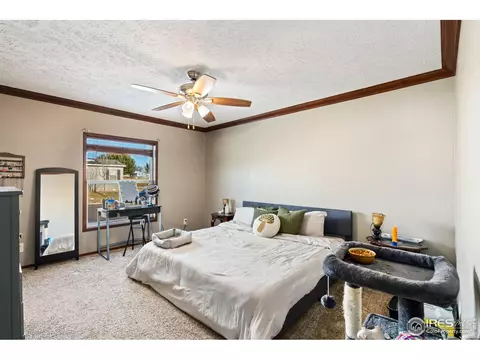 3000 Foxtail Ln, Evans, CO 80620 photo 11