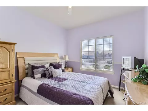 20363 E 48th Pl, Denver, CO 80249 photo 21