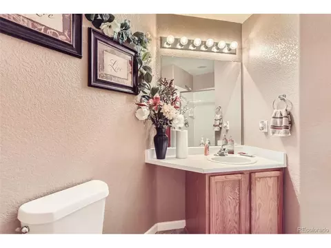20363 E 48th Pl, Denver, CO 80249 photo 15