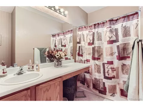 20363 E 48th Pl, Denver, CO 80249 photo 23