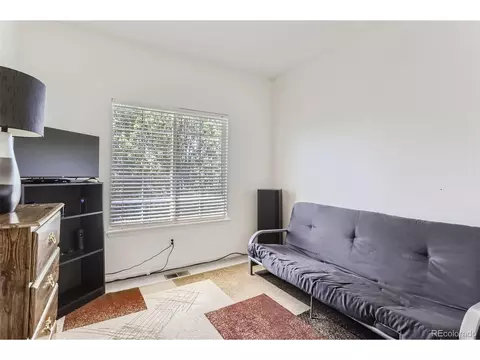 20363 E 48th Pl, Denver, CO 80249 photo 22