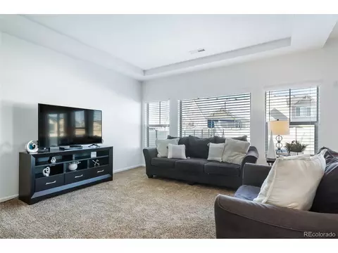 5385 Walden Ct, Denver, CO 80249 photo 10